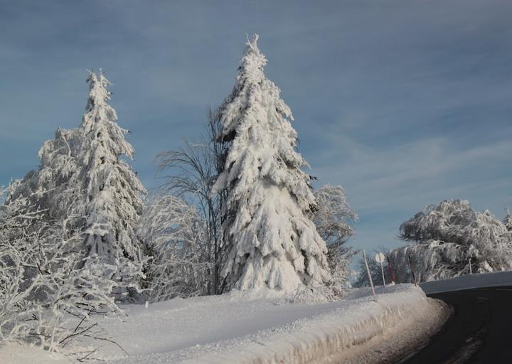 Gasthof Adler